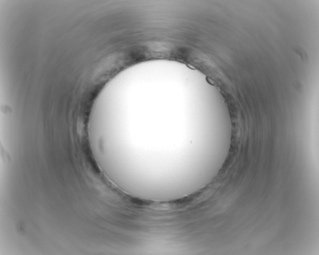 X0000091200711200708091040
