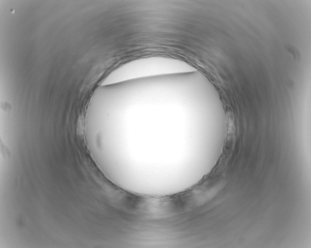 X0000091200713200708091040