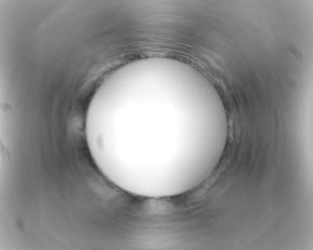 X0000091200714200708091040