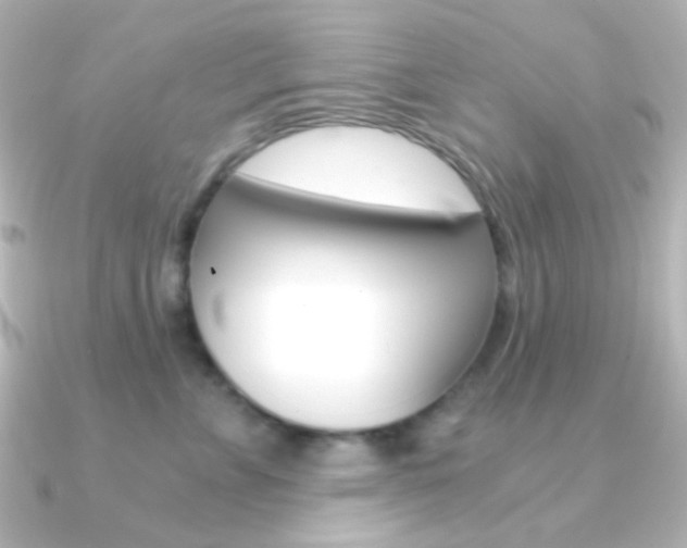 X0000091200715200708091040