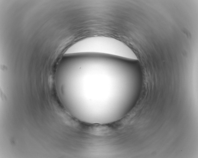 X0000091200716200708091040