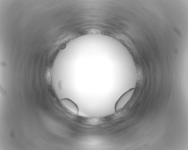 X0000091200717200708091040