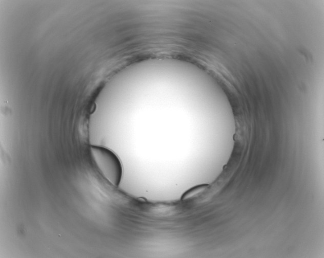 X0000091200718200708091040