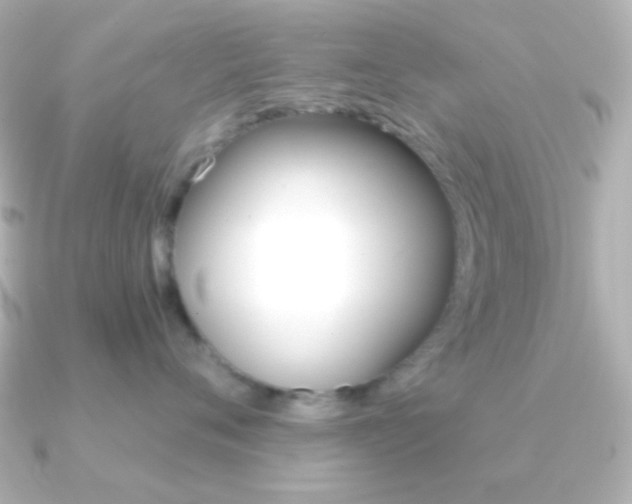 X0000091200720200708091040
