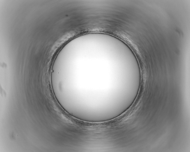 X0000091200721200708091039