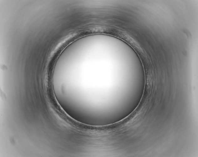 X0000091200722200708091039