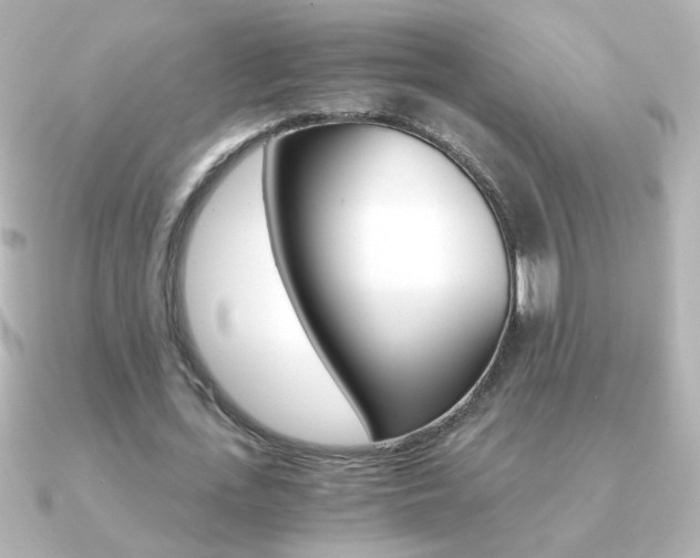 X0000091200723200708091039
