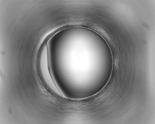 X0000091200724200708091039
