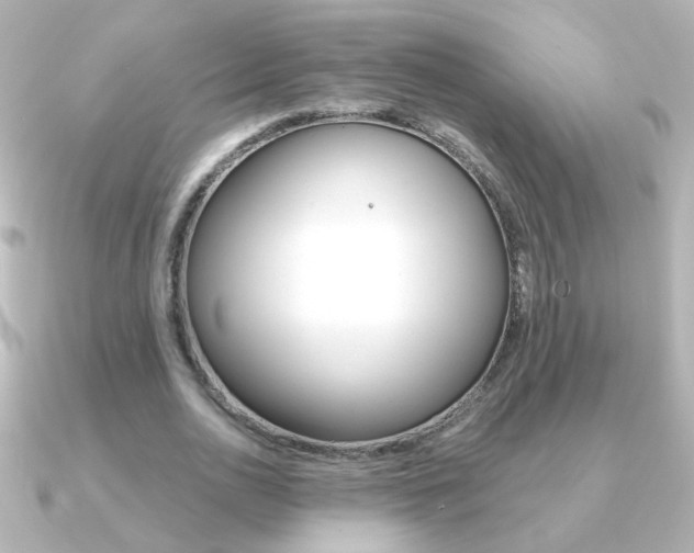 X0000091200726200708091039