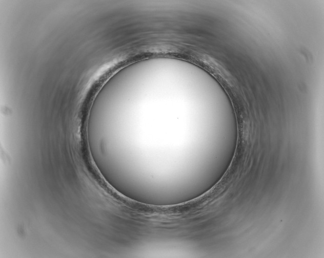 X0000091200727200708091039