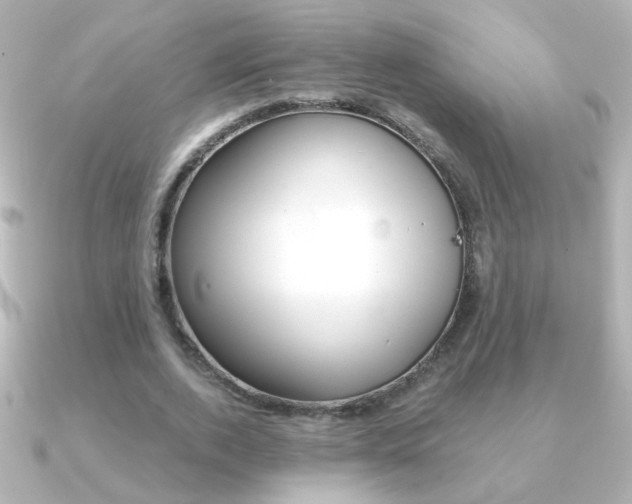X0000091200728200708091039