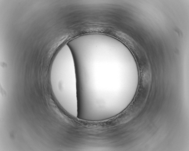 X0000091200729200708091039