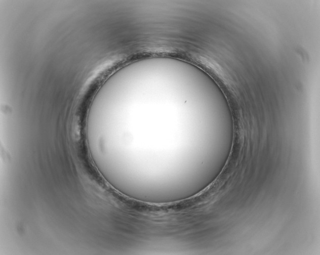 X0000091200731200708091039