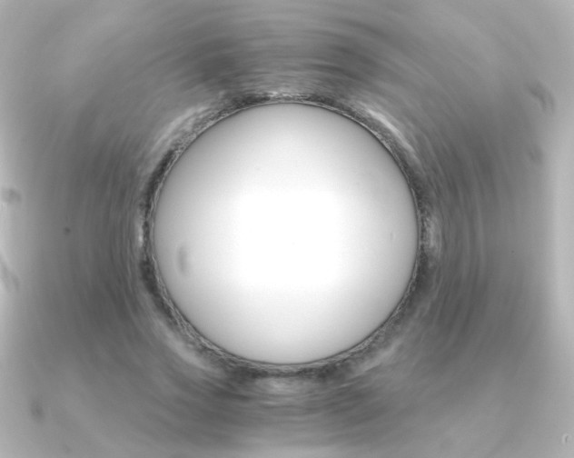 X0000091200733200708091039