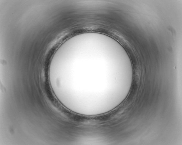 X0000091200734200708091039
