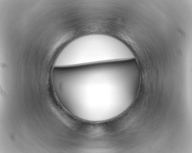 X0000091200735200708091039