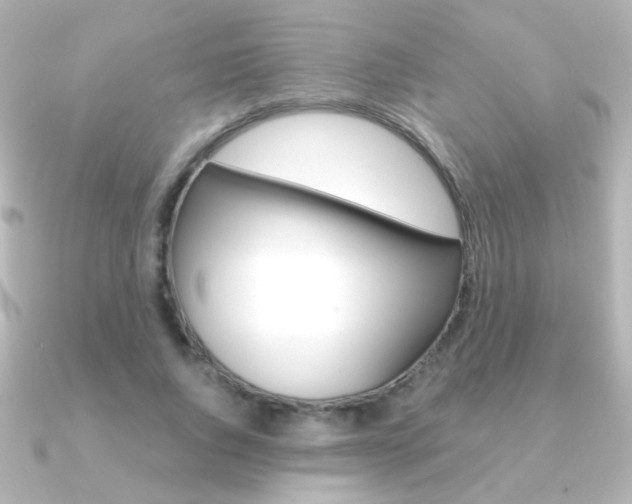 X0000091200736200708091039