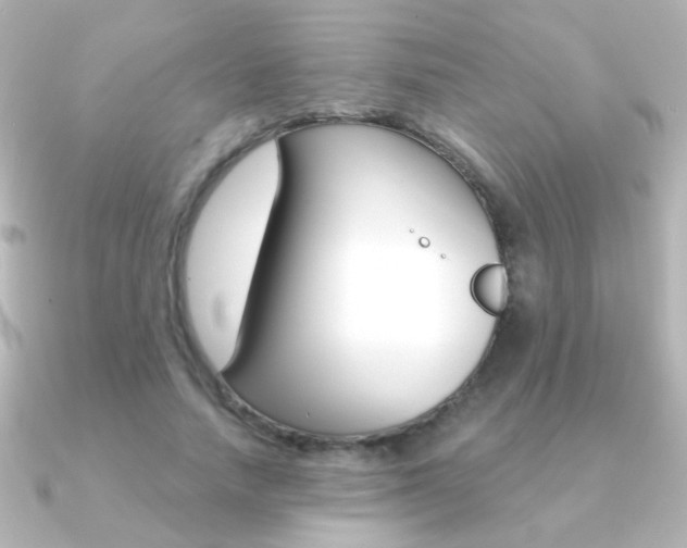 X0000091200738200708091039