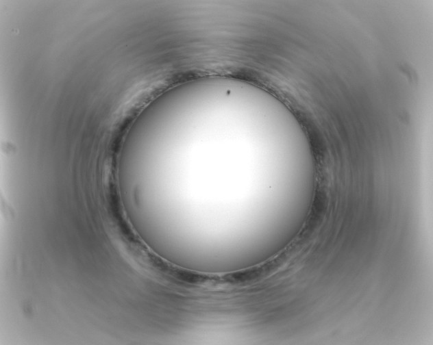 X0000091200742200708091039
