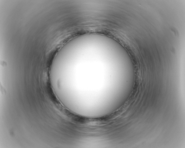 X0000091200746200708091039