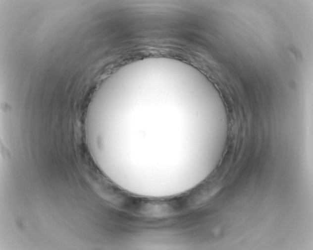 X0000091200749200708091040