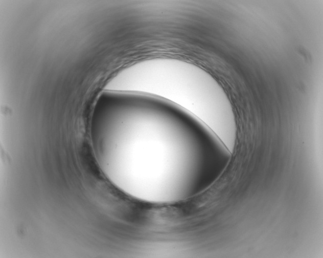 X0000091200752200708091040