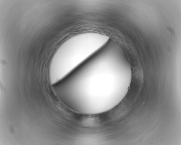 X0000091200754200708091040