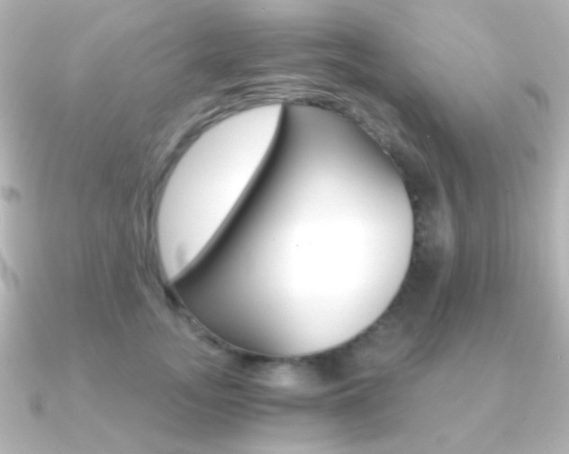 X0000091200755200708091040