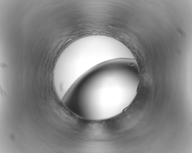 X0000091200756200708091040