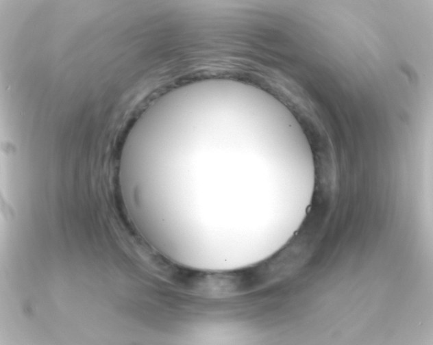 X0000091200758200708091040