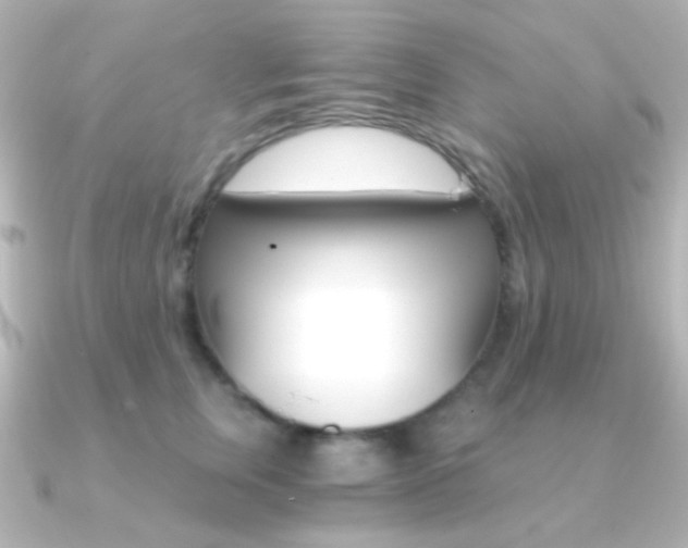 X0000091200759200708091040