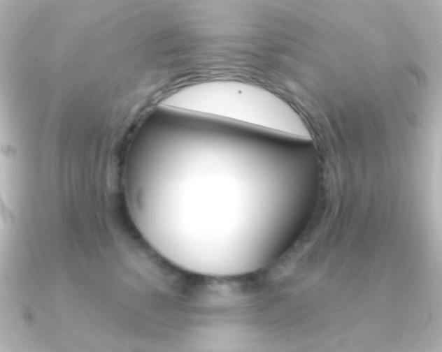 X0000091200760200708091040