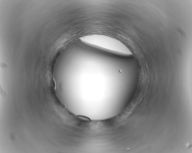 X0000091200762200708091040