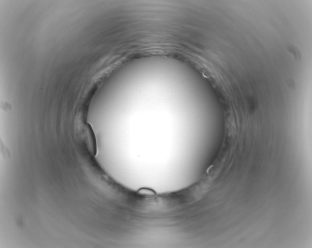 X0000091200764200708091040