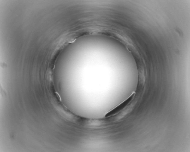 X0000091200766200708091040