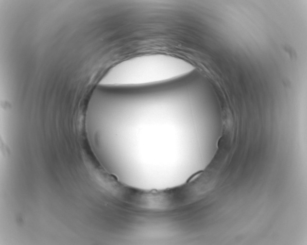 X0000091200767200708091040