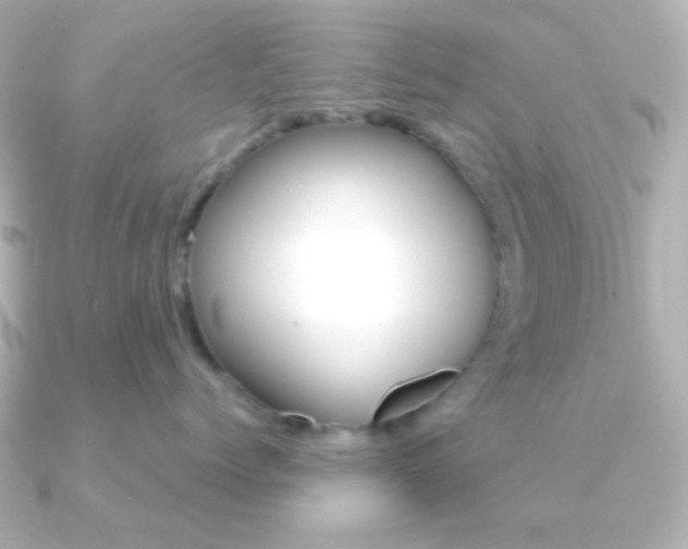 X0000091200768200708091040