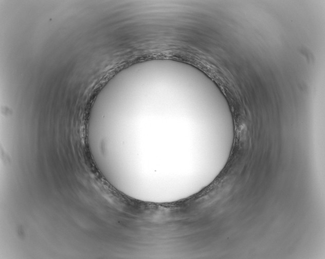 X0000091200772200708091039