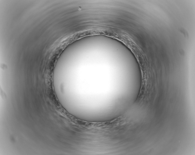 X0000091200773200708091039
