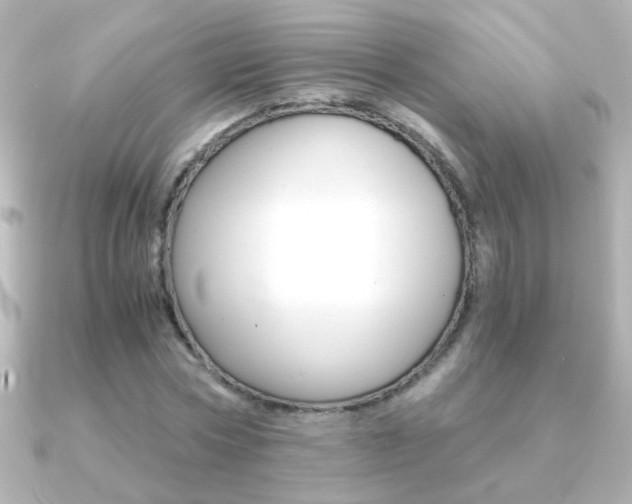 X0000091200778200708091039