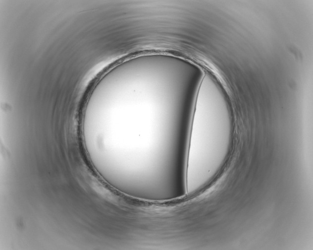 X0000091200779200708091039