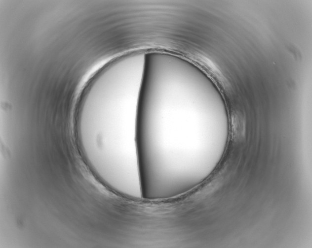 X0000091200780200708091039