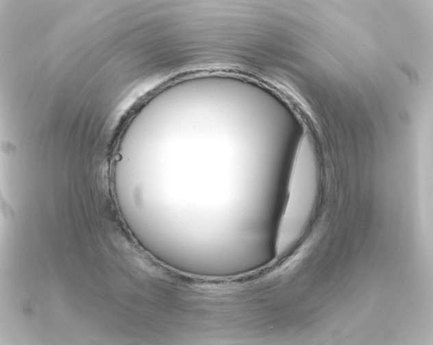 X0000091200781200708091039