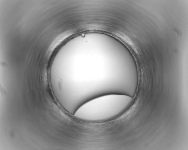 X0000091200782200708091039