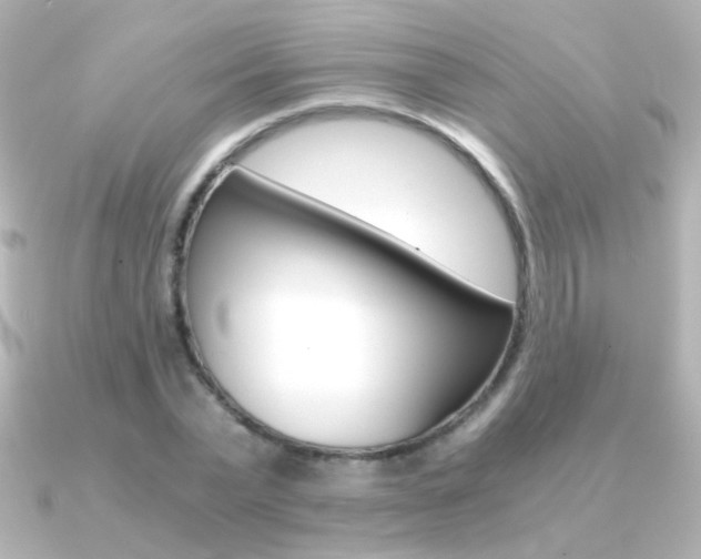 X0000091200783200708091039