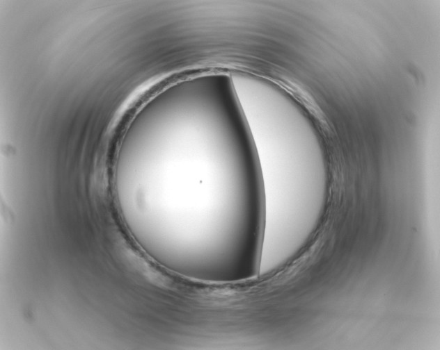 X0000091200784200708091039