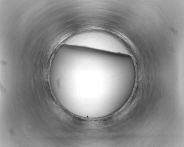 X0000091200785200708091039