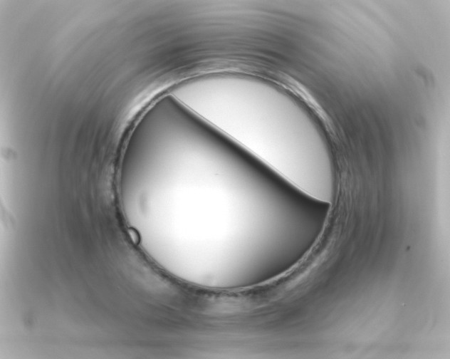 X0000091200786200708091039