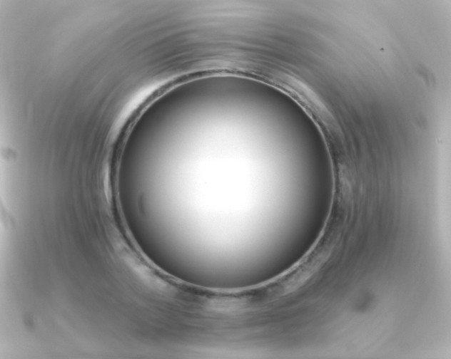 X0000091200788200708091039