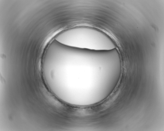 X0000091200790200708091039